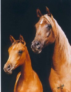 Obrazek